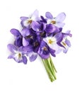 Bouquet of violets flowers Royalty Free Stock Photo