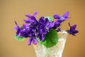 Bouquet of violets flowers in a vintage crystal glass on a golden background Royalty Free Stock Photo