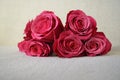 A bouquet of vivid pink roses