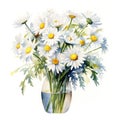 Bouquet of watercolor daisy flowers. Many chamomiles with leaves Royalty Free Stock Photo