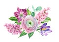 Bouquet of watercolor flowers, tulip, hyacinth, ranunculus on a white background, spring, botanical illustration