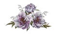 Bouquet of watercolor hand drawn violet peonies. Floral greeting card Royalty Free Stock Photo