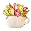 Ink, pencil, watercolor Tulips flowers sketch. Line art background. Hand drawn nature painting. Freehand sketching Royalty Free Stock Photo
