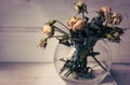 Bouquet of weathered roses in light and shadow. Small dry roses in vase. Withering concept. Parting concept. Royalty Free Stock Photo