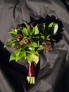 Wedding bouquet with green and withered leaf Royalty Free Stock Photo