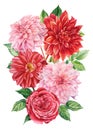 Bouquet of wedding flowers, dahlias on an isolated white background, watercolor botanical painting, flora design Royalty Free Stock Photo