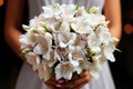 Bouquet for a wedding of white lilies in the hands of the bride