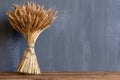 A bouquet of wheat ears on black background with copy space. Concept for cafe menu Royalty Free Stock Photo