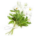 Bouquet of white anemone flowers