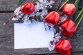 Bouquet with white apricot flowers and red tulips on the background of old, wooden boards. Place for text Royalty Free Stock Photo