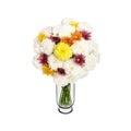 Bouquet of white asters in vase Royalty Free Stock Photo