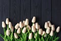 A bouquet of white and biege tulips, on a black wooden background, flat, top view copy space. Royalty Free Stock Photo