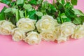 Bouquet of white blooming roses  on pastel pink background. Romantic floral frame. Copy space Royalty Free Stock Photo