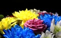 Bouquet Of Colorful Flowers In Darkness Detailed Side View Photo Royalty Free Stock Photo