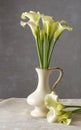 Bouquet of white calla flowers (Zantedeschia) in ceramic vase