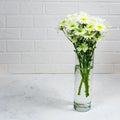 Bouquet of white chrysanthemums in a glass vase on a white background and a concrete table. Mother s day card. Beautiful Royalty Free Stock Photo