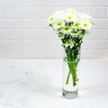 Bouquet of white chrysanthemums in a glass vase on a white background and a wooden table. Mother's day card. Beautiful Royalty Free Stock Photo