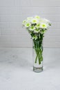 Bouquet of white chrysanthemums in a glass vase on a white background and a wooden table. Mother's day card. Beautiful Royalty Free Stock Photo