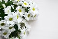 Bouquet of white chrysanthemums on white wood background Royalty Free Stock Photo