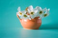 Bouquet of white daffodils in orange vase. Spring Flower. Narci Royalty Free Stock Photo