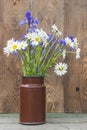 Bouquet of white daisies and blue wild iris flowers in old milk can on wooden background. Royalty Free Stock Photo