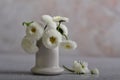 A bouquet of white daisies in a white ceramic pile