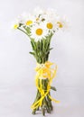 Bouquet of white daisies on a light gray background. Still life with colorful flowers. Fresh daisies Place for text. Flower