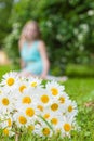 Bouquet of white daisies meadow lies on green grass Royalty Free Stock Photo