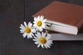 Bouquet of white daisies on old book Royalty Free Stock Photo