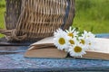 Bouquet of white daisies on the old open book and wicker basket on blue bench Royalty Free Stock Photo