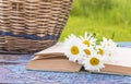 Bouquet of white daisies on a open book, wicker basket on a old blue paint table Royalty Free Stock Photo