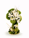 Bouquet of white flowers