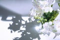 A bouquet of white flowers Alstroemeria stands on a white table under the rays of the sun from which a shadow falls. Flowers Royalty Free Stock Photo