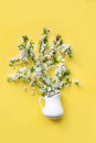 Bouquet white flowers blooming cherry fruit tree in vase on yellow. Top view. Flat lay Royalty Free Stock Photo