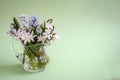 Bouquet of white flowers Chionodoxa in a glass vase on a green background Royalty Free Stock Photo