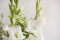 Bouquet of white flowers. Whiteness delicate gladiolus. Close-up, white background Royalty Free Stock Photo