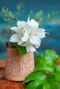 Bouquet of white flowers of wild jasmine on the artistic background. Country still life with jasmine on a wooden stump