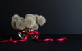 a bouquet of white fluffy dandelions in a glass vase with a red satin ribbon on a dark background. Royalty Free Stock Photo