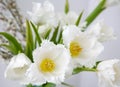 Bouquet of white fringed tulips