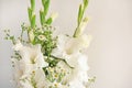 Bouquet of white gladioli. Whiteness delicate gladiolus flowers. Close up, white background Royalty Free Stock Photo