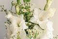 Bouquet of white gladioli. Whiteness delicate gladiolus flowers. Close up on white background