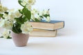 Bouquet of white Jasmine on the background of books