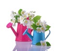 Bouquet of white jasmine flowers with leaves in pink and blue watering cans