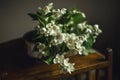 A bouquet of white lilac in a vase on the table in a retro style with an artistic background blur Royalty Free Stock Photo