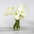 Bouquet of white lilies in a glass vase on a beige table against a gray wall Royalty Free Stock Photo