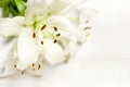 Bouquet of white lilies isolated on a white wooden background top view. Flowers lily beautiful bouquet white flowers floral backgr