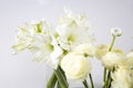Bouquet of white lilies in a tall glass vase on a beige table against a gray wall. Copy space Royalty Free Stock Photo