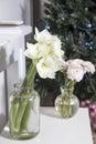 Bouquet of white lilies in a tall glass vase on beige table against a gray wall. Copy space. Fresh bud Royalty Free Stock Photo