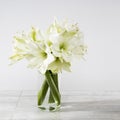 Bouquet of white lilies in a tall glass vase on beige table against a gray wall. Copy space. Fresh bud Royalty Free Stock Photo