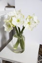 Bouquet of white lilies in a tall glass vase on a beige table against a gray wall. Copy space Royalty Free Stock Photo